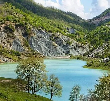 Apartamento Modern Mountain View P&e Netflix Included